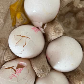 Migros Bozuk Kırık Ürün Gönderip Evimde Tutmamı İstiyor