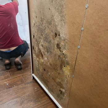 Türkiye Sigorta Sigorta Şirketinin Yetersiz Hasar Ödemesi