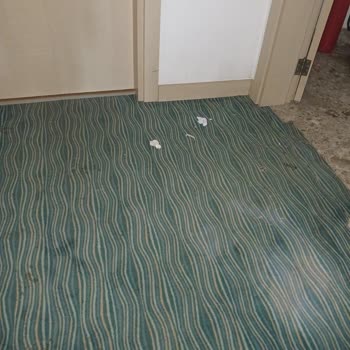 Jolly Tur Tatil İptal Hakkında