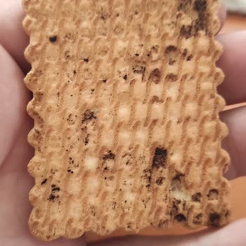 Torku Pötibör Bisküvi Üzerindeki Ve İçindeki Siyahlıklar