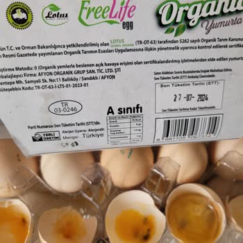 Lotus Global Organik 3 Kutuda 26 Bozuk Yumurta