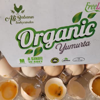 Lotus Global Organik 3 Kutuda 26 Bozuk Yumurta