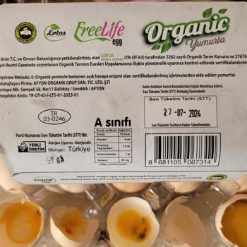 Lotus Global Organik 3 Kutuda 26 Bozuk Yumurta