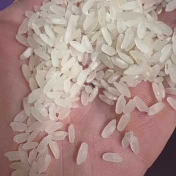 Tat Bakliyat Baldo Pirinç Böceklendi