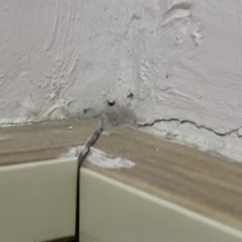 Ayvalık Öğretmen Evinin Pis Oluşu Ve İptalde Fiyat Kesintisi