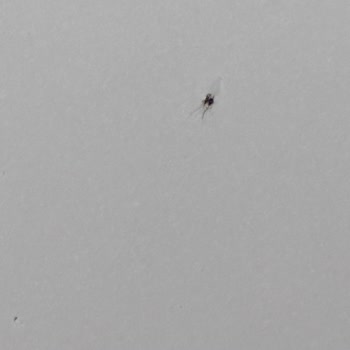 Ayvalık Öğretmen Evinin Pis Oluşu Ve İptalde Fiyat Kesintisi