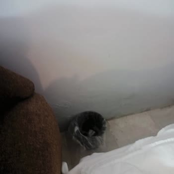 Zeus Turunç Hotel Memnuniyetsizliği