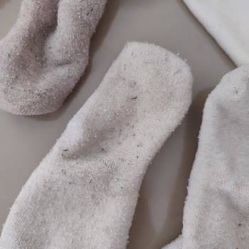 Beko Çamaşır Makinesi Sorunları