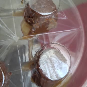 Çiçek Sepeti Bozuk Ürünler