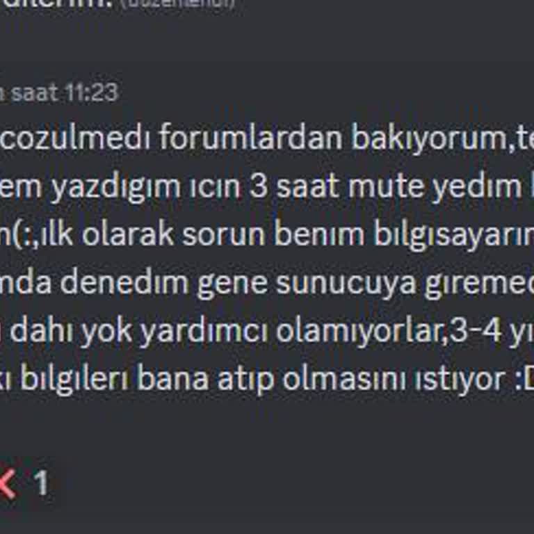 Rabisu Web Hosting Rabisu Balonu Patladı