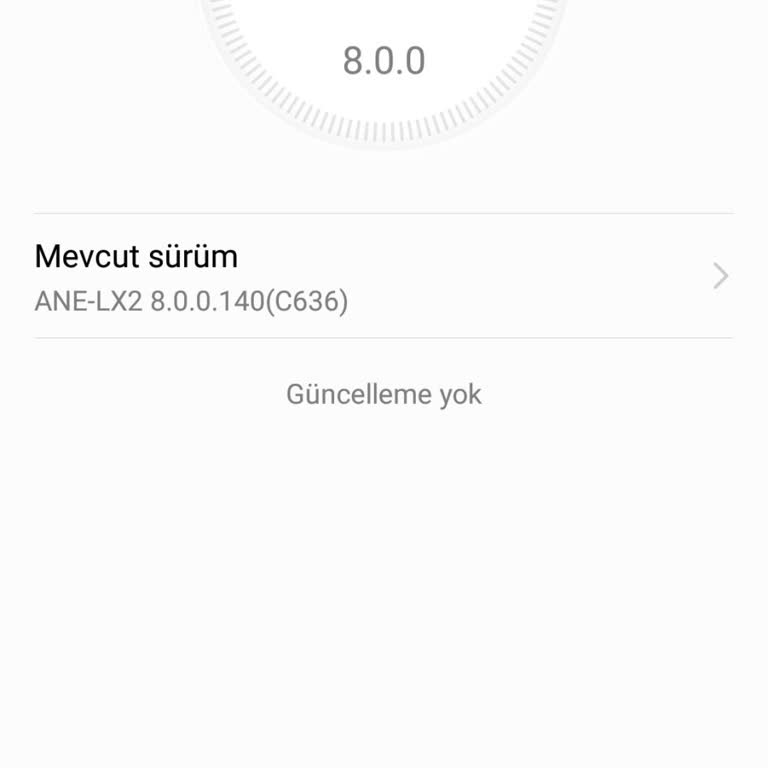 Huawei P20 Güncelleme Alamıyorum