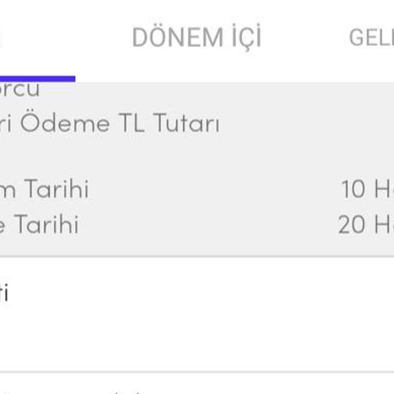 Akbank Üyelik Ücreti Adı Altında Alınan Yıllık Kart Ücreti/Axess