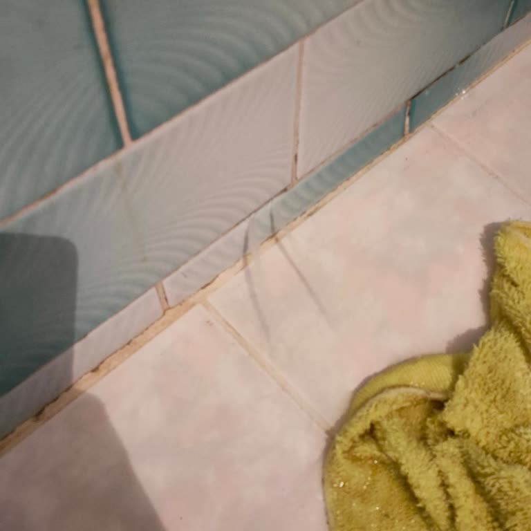 Gümüşhane Belediyesine Duyurulur