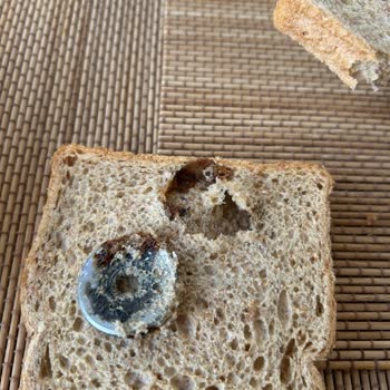 BİM Marketten Aldığım Ekmekten Sanayi Malzemesi Çıktı