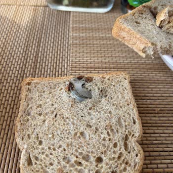 BİM Marketten Aldığım Ekmekten Sanayi Malzemesi Çıktı