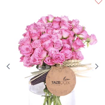 Taze Çiçek (tazecicek.com) Kokmuş Çürümüş Çiçekler