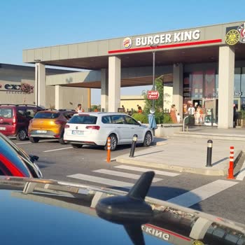 Manisa Oksijen Burger King Şubesi İstanbul Yönü Kara Sinek İstilası