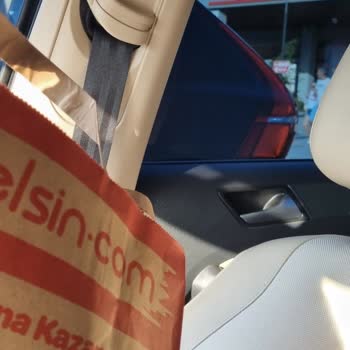 Manisa Oksijen Burger King Şubesi İstanbul Yönü Kara Sinek İstilası