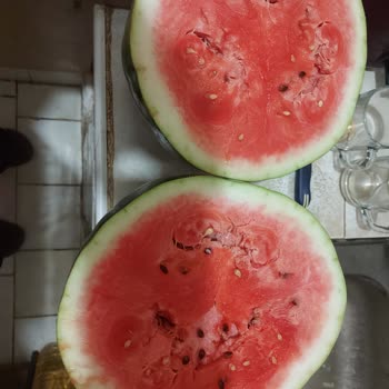 TrendyolGo Hızlı Market Siparişimde Karpuz Sorunu