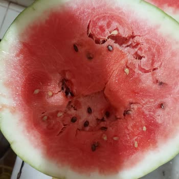 TrendyolGo Hızlı Market Siparişimde Karpuz Sorunu
