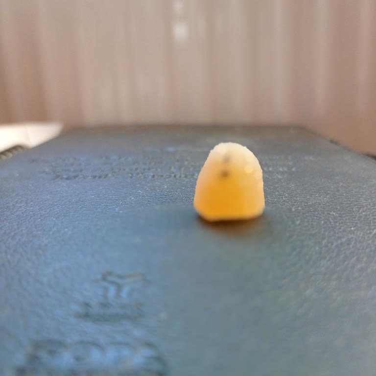 BİM Jelly Party Karınca