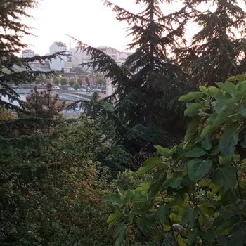 Arnavutköy Boğazköy Yoluna Bir İETT Durağı Lazım