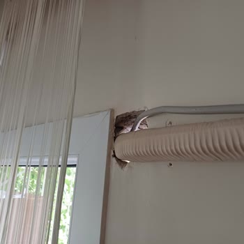 Daikin Klima Montaj Hizmeti Şikayeti