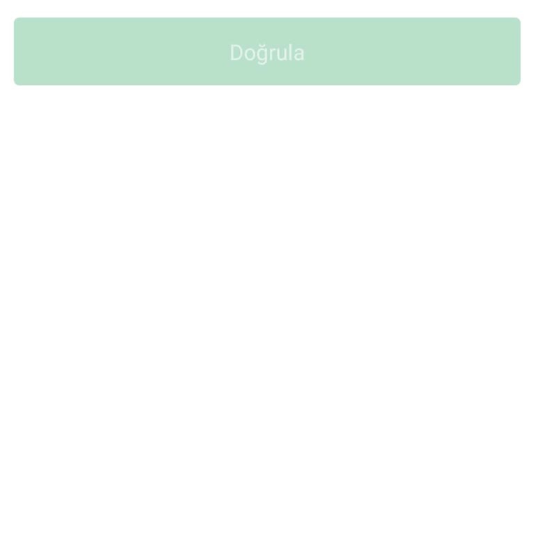 Bitci'ye Giriş Yapamıyorum