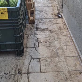 Şok Marketler Şok Marketin Bitmek Bilmeyen Depo Sorunu