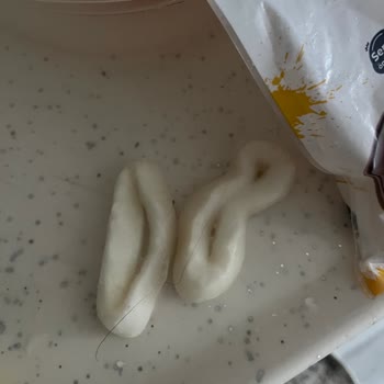 Balık Dünyası Halka Kalamar Hijyen Sorunu