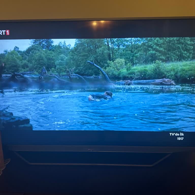 DSmart HD Yayın Yapmıyor