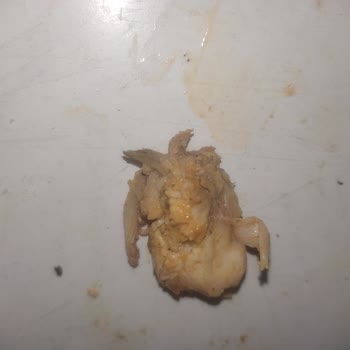 Maydanoz Döner Dürüm İçindeki Tuhaf Cisim