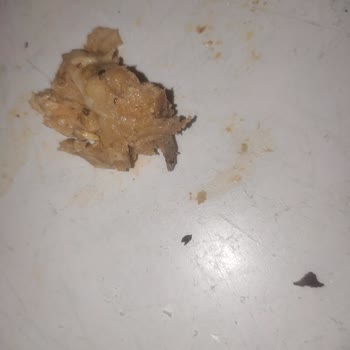 Maydanoz Döner Dürüm İçindeki Tuhaf Cisim