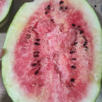 Getir Firması İlgisizliği Getir Firması Bozuk Ürün