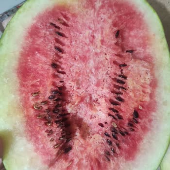 Getir Firması İlgisizliği Getir Firması Bozuk Ürün