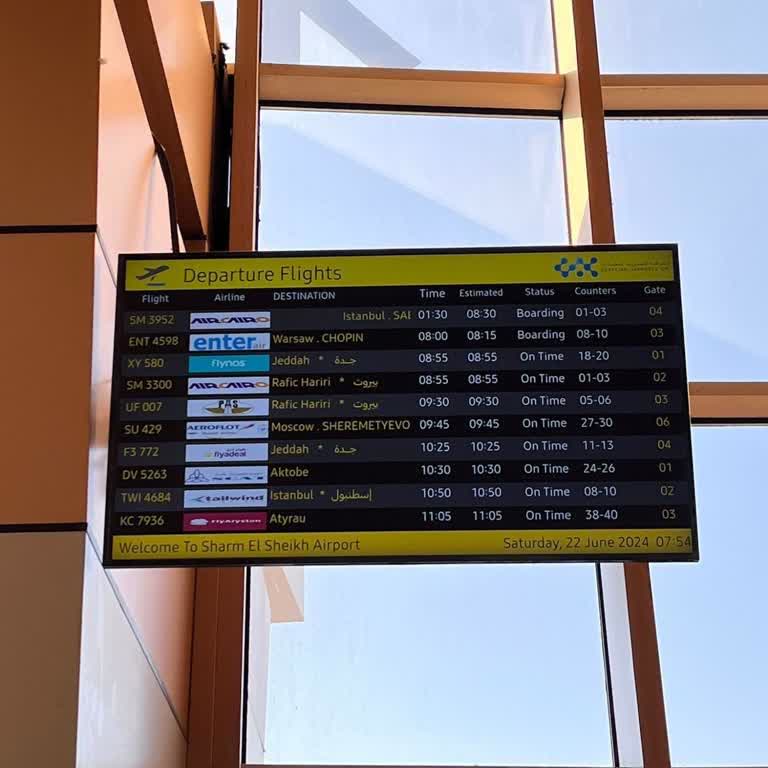 Malitur Ve Air Cairo - Sharm Turu Pişmanlığı!