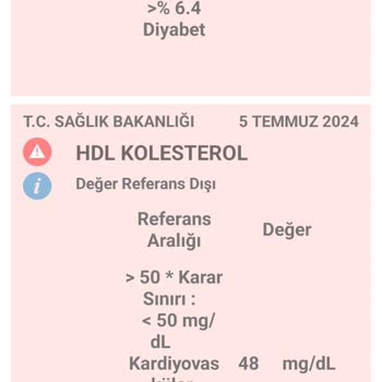 İstinye Devlet Hastanesi Dahiliye Bölümü Değerlendirmesi