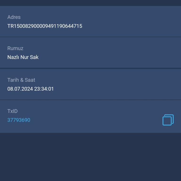 Bitexen Para Çekme Hesaba