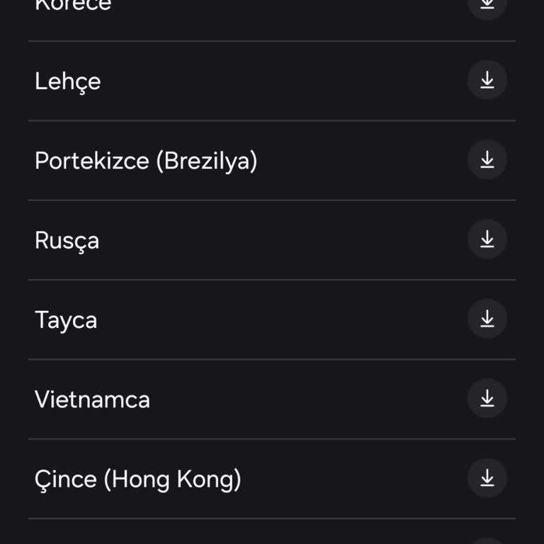 Samsung S24 Ultra Aİ Türkçe Dil Desteği