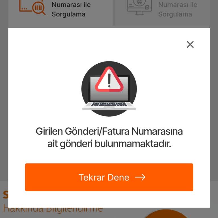 Temu Siparişim MNG Kargoda Gözükmüyor