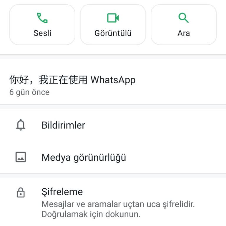 WhatsApp Tuşlu Telefon Kullanıyorum.