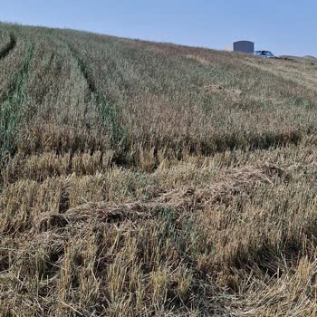 TARSİM Exper Yanlış Ölçüm Yapıyor