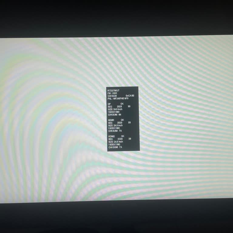 Rampage Monitör Sadece Renkli Ekranlar Gösteriyor