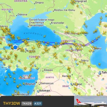 Turkish Airlines Flight Problems Again And No Response!