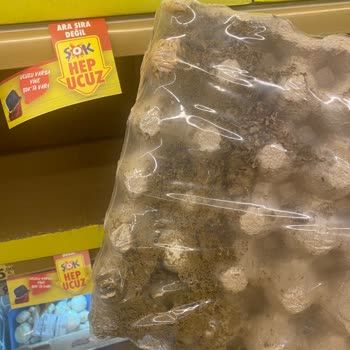 Şok Marketler Şok Markete Şok Oldum