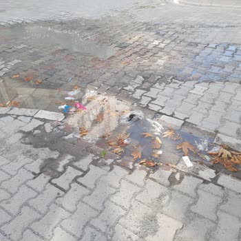 Esenyurt Belediyesi Kapı Önünde Su Birikmesi Ve Koku Olması