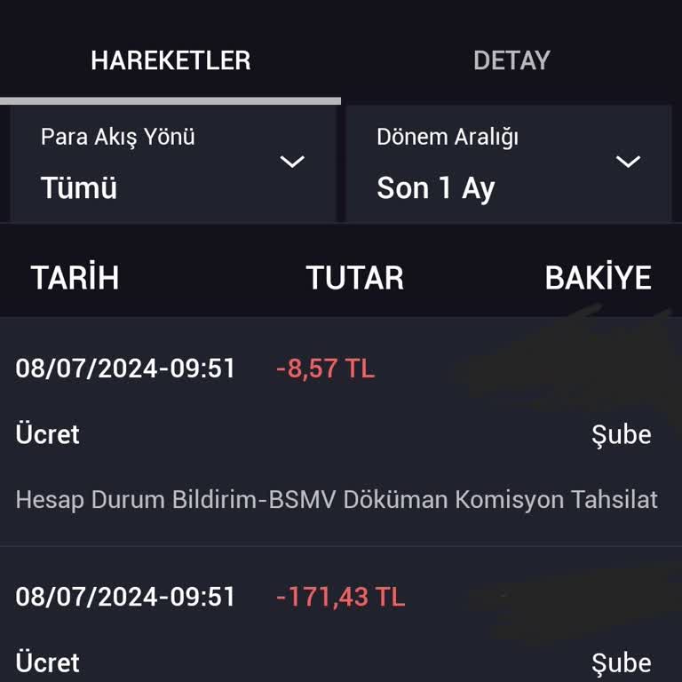 İş Bankası Hesap Dökümü Parası