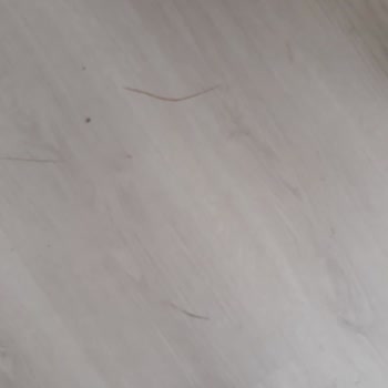 Peli Parke'nin Kalite Sorunu Ve Müşteri Memnuniyetsizliği