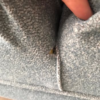 Enza Home Petra Koltuk Pişmanlığı