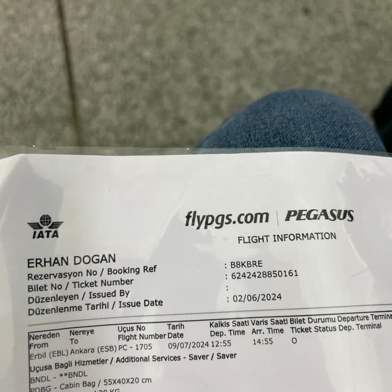 Pegasus İptal Edilen Uçuş